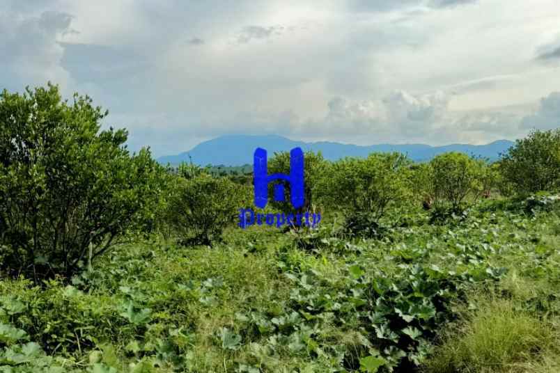 dijual tanah kosong daerah karo desa