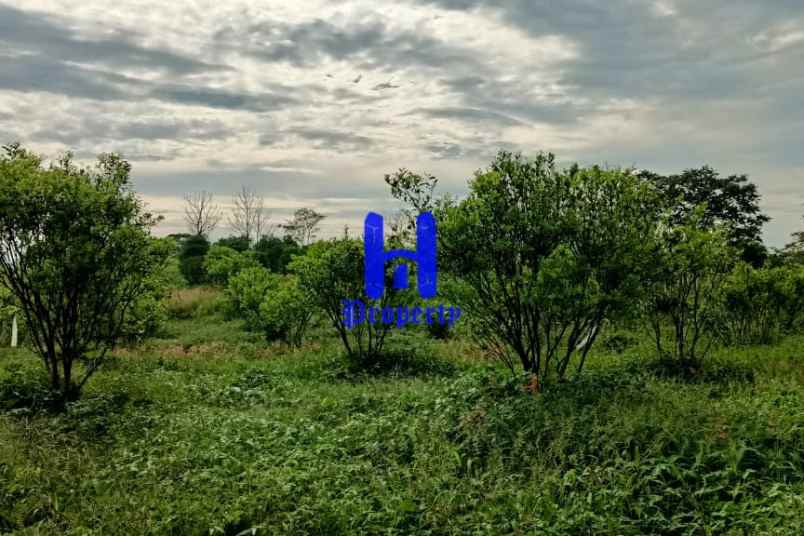 dijual tanah kosong daerah karo desa