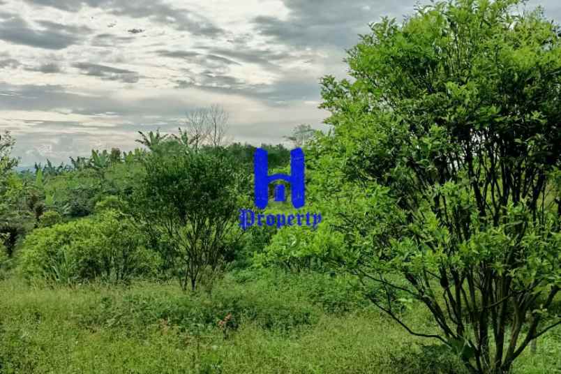 dijual tanah kosong daerah karo desa