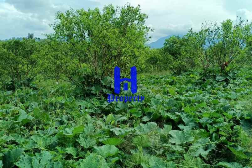 dijual tanah kosong daerah karo desa