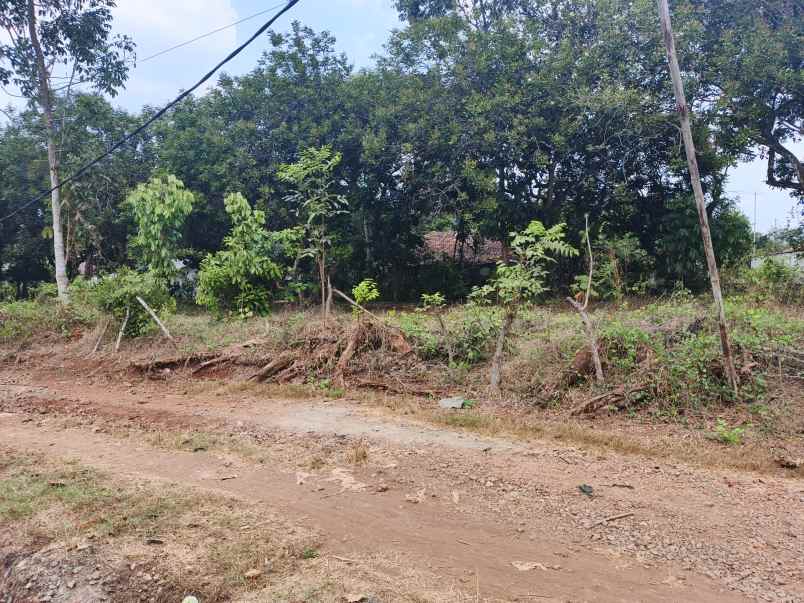 dijual tanah kp sindangreret