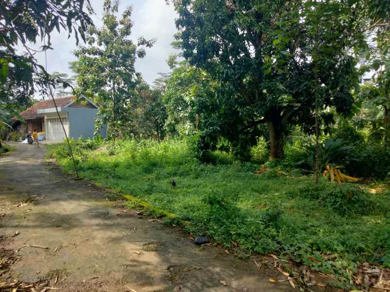 dijual tanah kubang kec talun kab cirebon