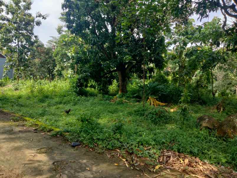 dijual tanah kubang kec talun kab cirebon