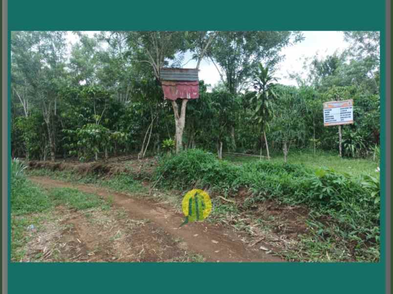 Tanah Kavling Dijual Dekat Kantor Pemerintahan Kepahiang Bengkulu