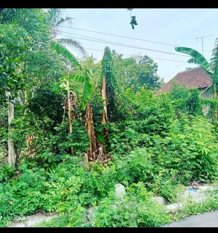 dijual tanah loceret