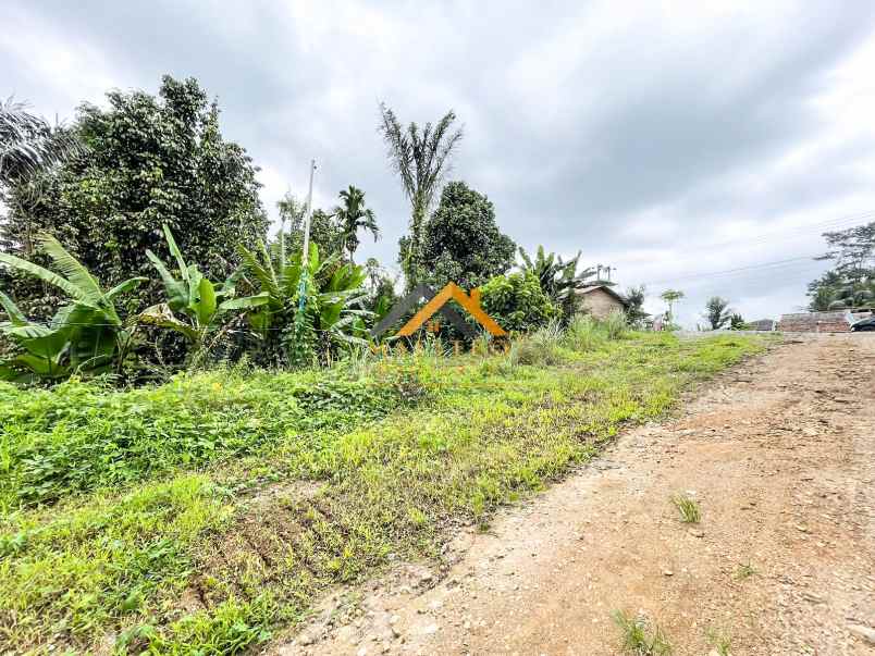 dijual tanah luas 60 hektar di jalan namorambe sembahe