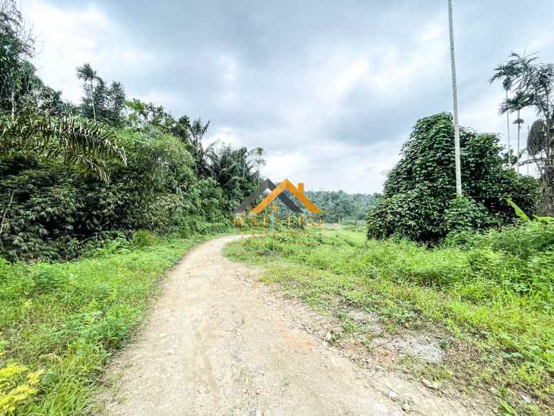 dijual tanah luas 60 hektar di jalan namorambe sembahe