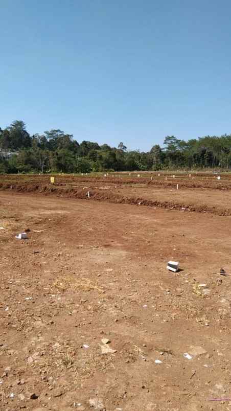 dijual tanah mangunsari