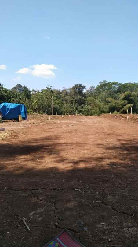 dijual tanah mangunsari