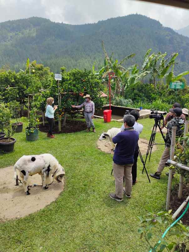 dijual tanah maribaya lembang