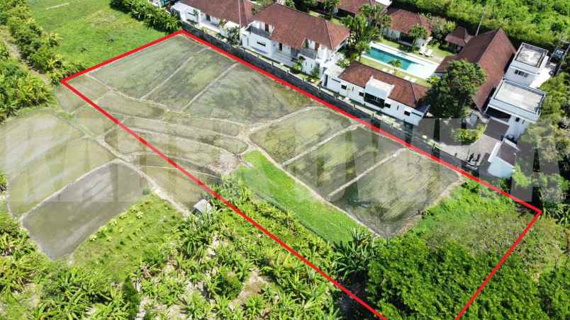 dijual tanah murah lebak sari petitenget seminyak
