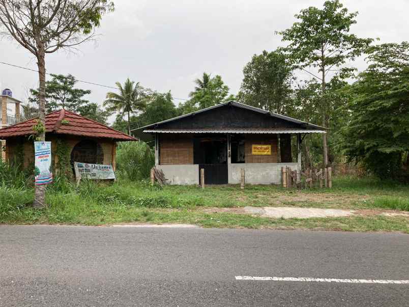 dijual tanah murah mangku asapl jalan kabupaten