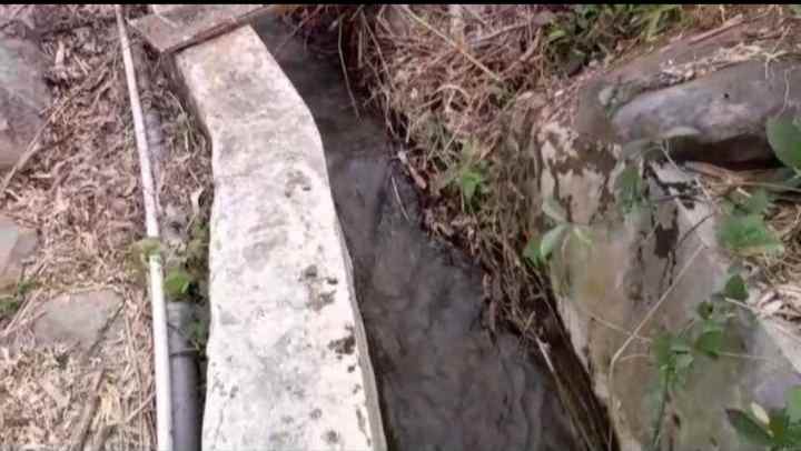 dijual tanah murah tanah kebun akses jalan mobil