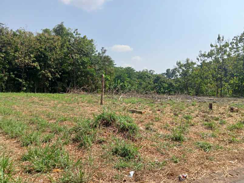 dijual tanah ngesong manyaran kec banyakan