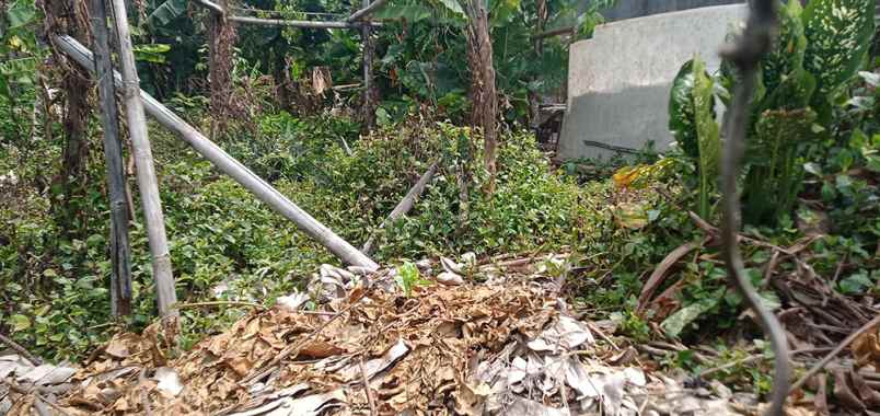 dijual tanah pacuan kuda