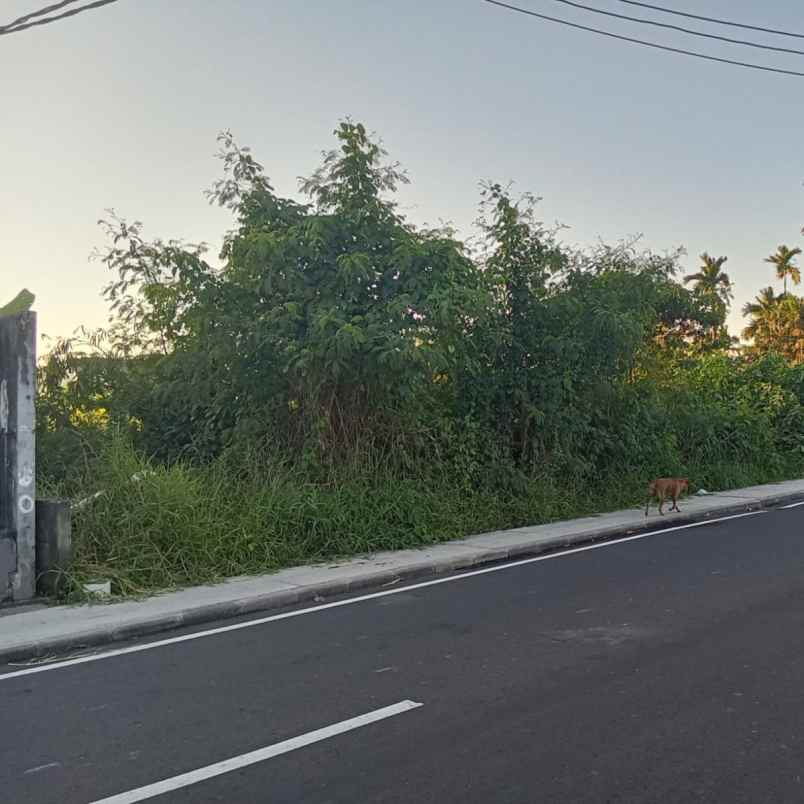 dijual tanah pantai mengening