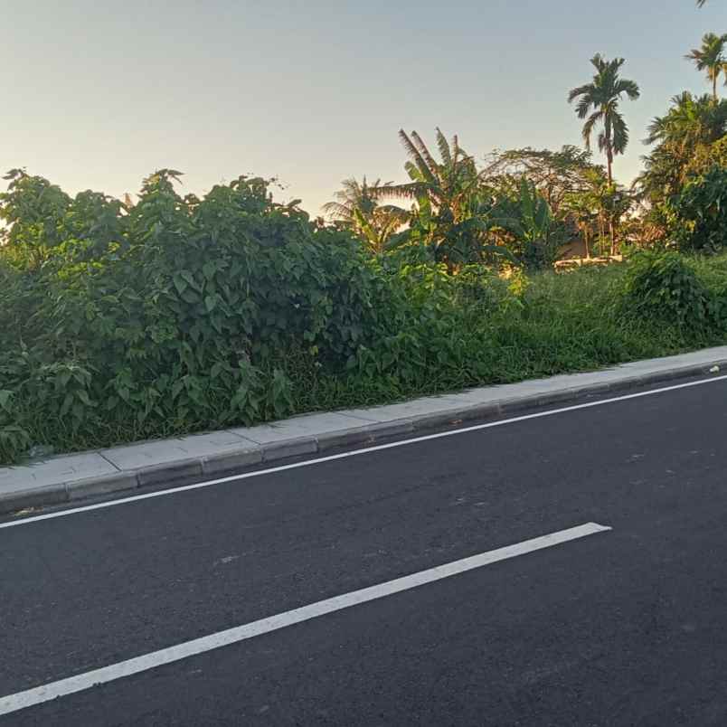 dijual tanah pantai mengening