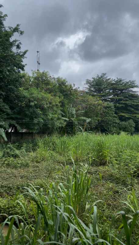 dijual tanah pulo gebang jakarta timur