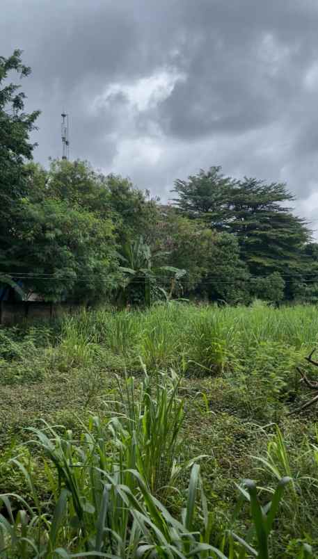 dijual tanah pulo gebang jakarta timur