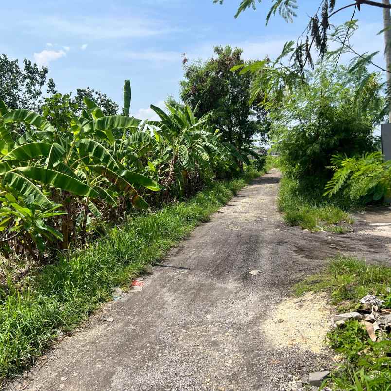 dijual tanah pura beten kepuh