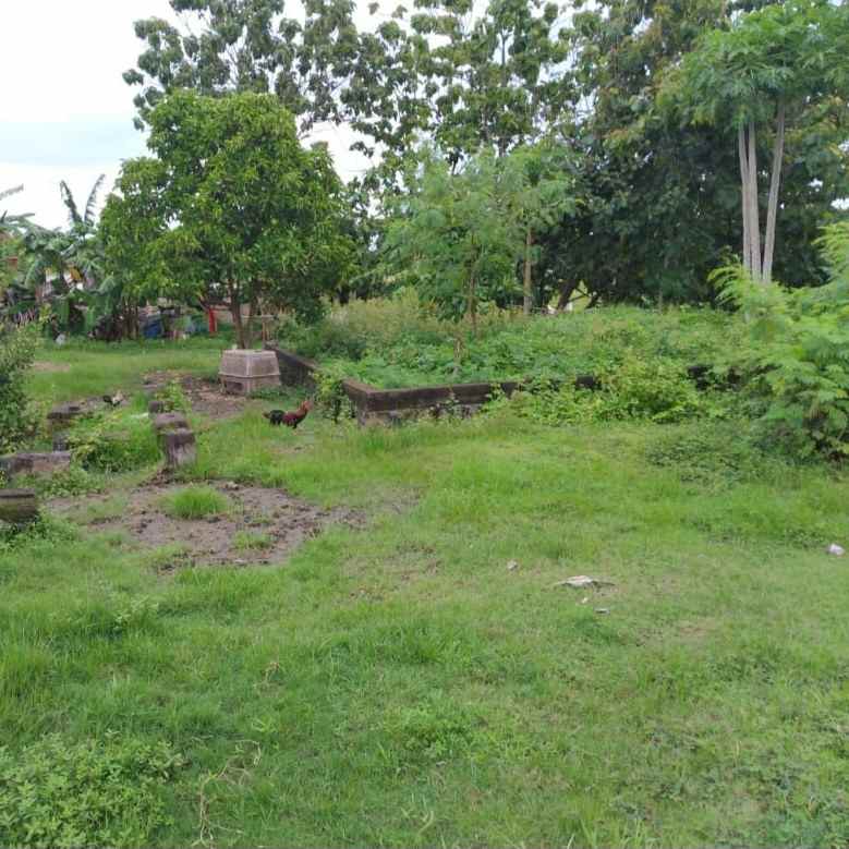 dijual tanah raya sempol