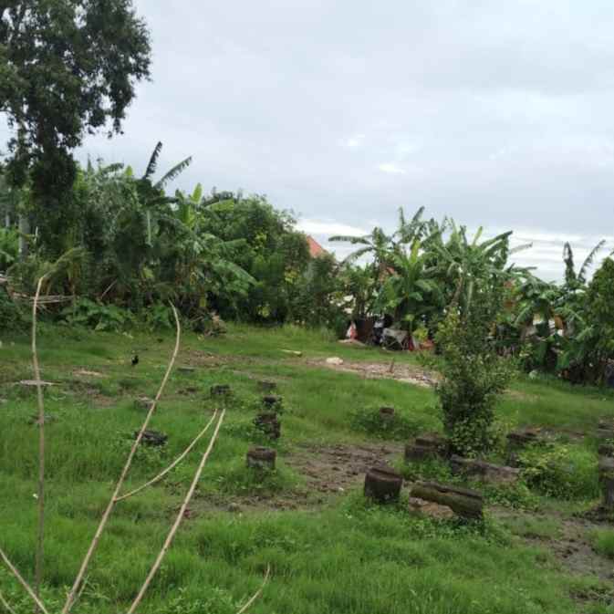 dijual tanah raya sempol