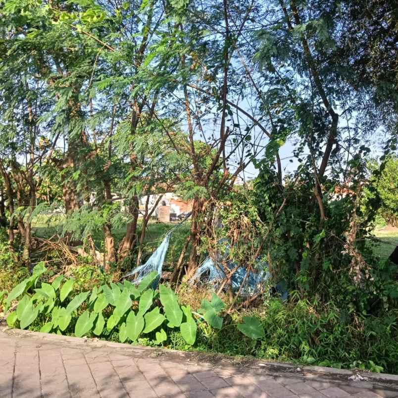 dijual tanah raya sempol