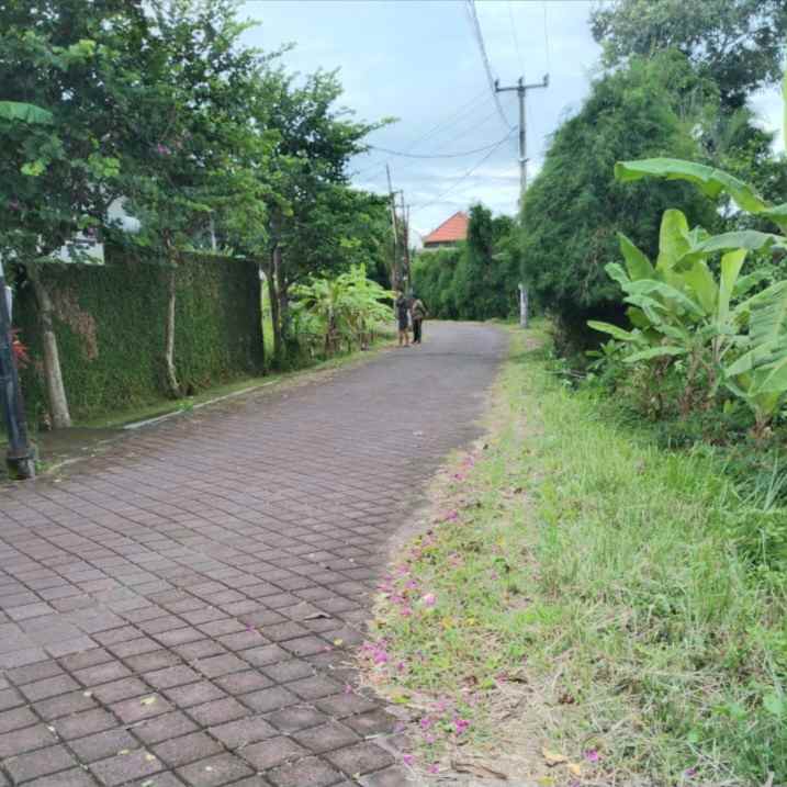 dijual tanah raya sempol