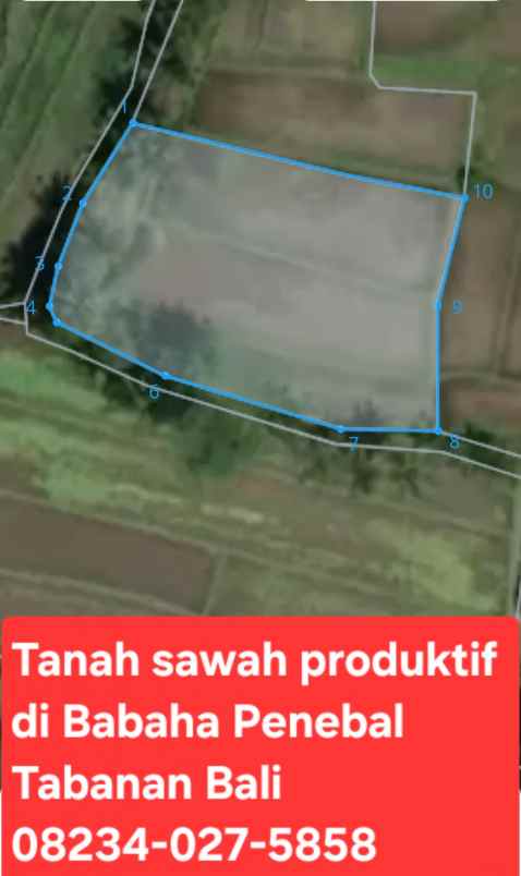 dijual tanah sawah produktif di penebel tabanan bali