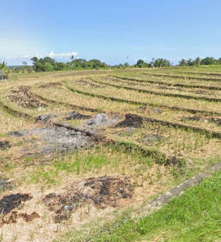 dijual tanah selemadeg timur tabanan bali