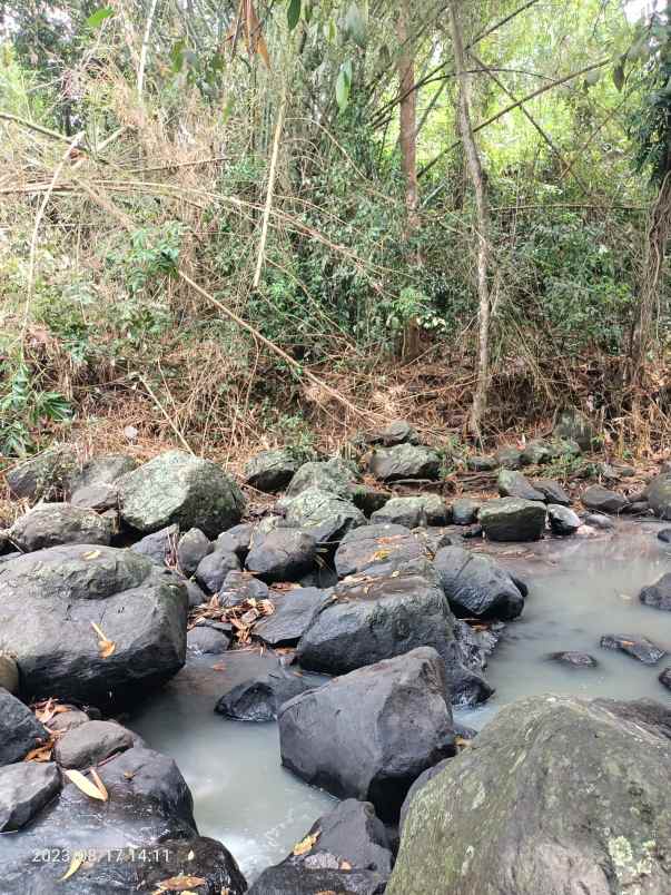 dijual tanah selemadeg timur tabanan bali