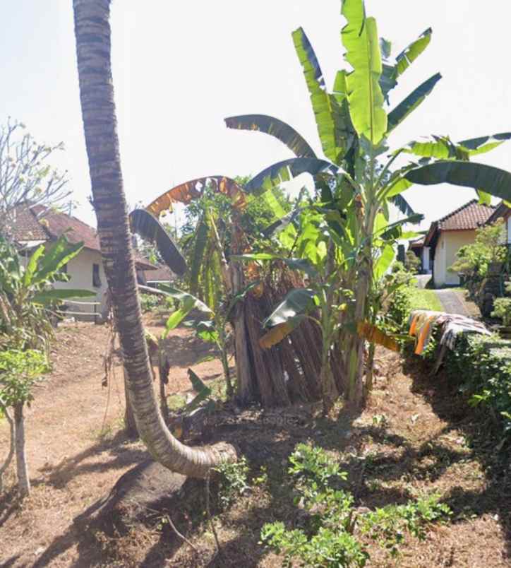 dijual tanah selemadeg timur tabanan bali
