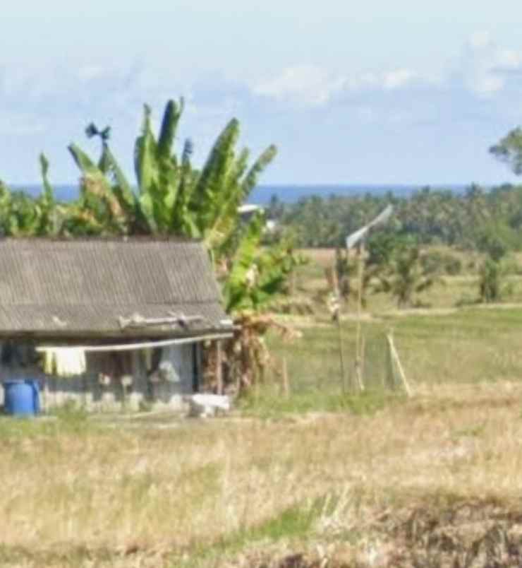 dijual tanah selemadeg timur tabanan bali