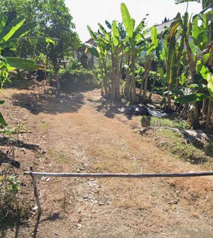 dijual tanah selemadeg timur tabanan bali