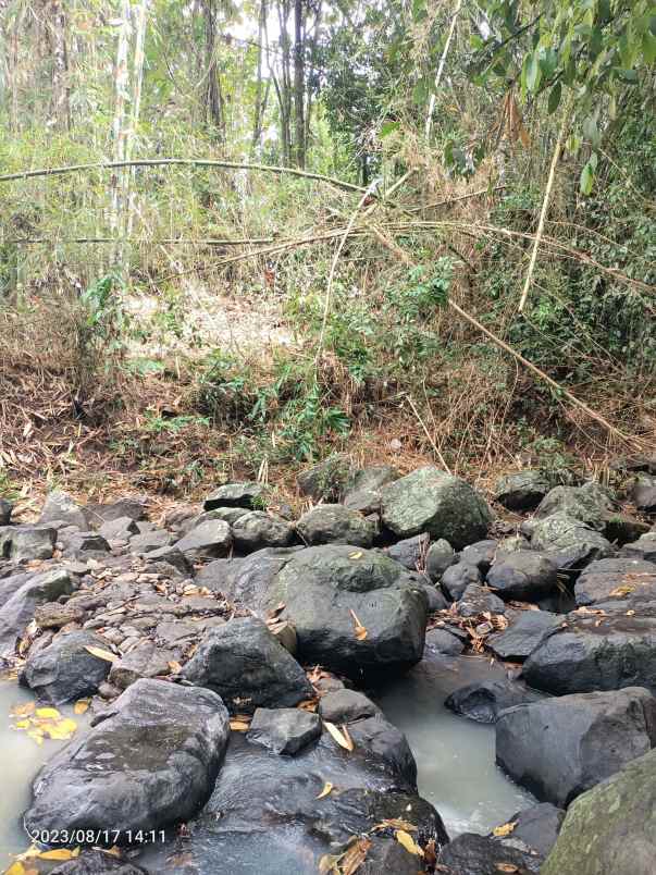 dijual tanah selemadeg timur tabanan bali