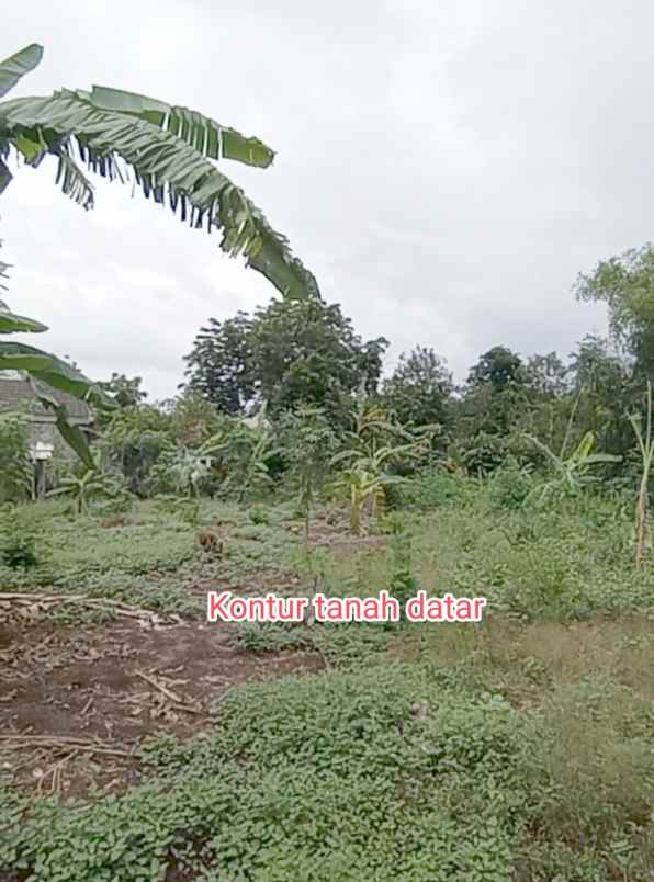 dijual tanah sembego