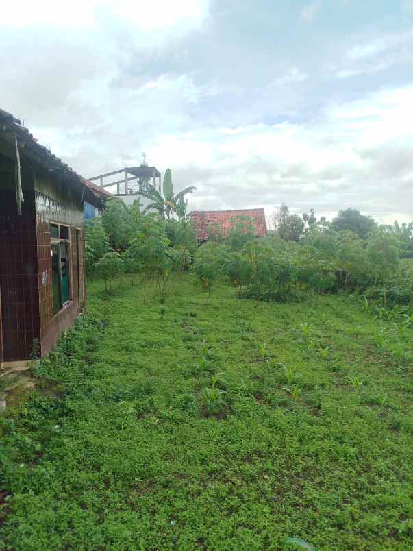 dijual tanah sukaharja cijeruk bogor