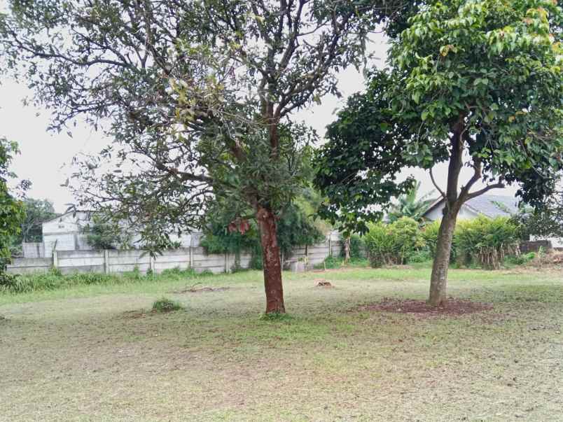 dijual tanah tajur halang bogor