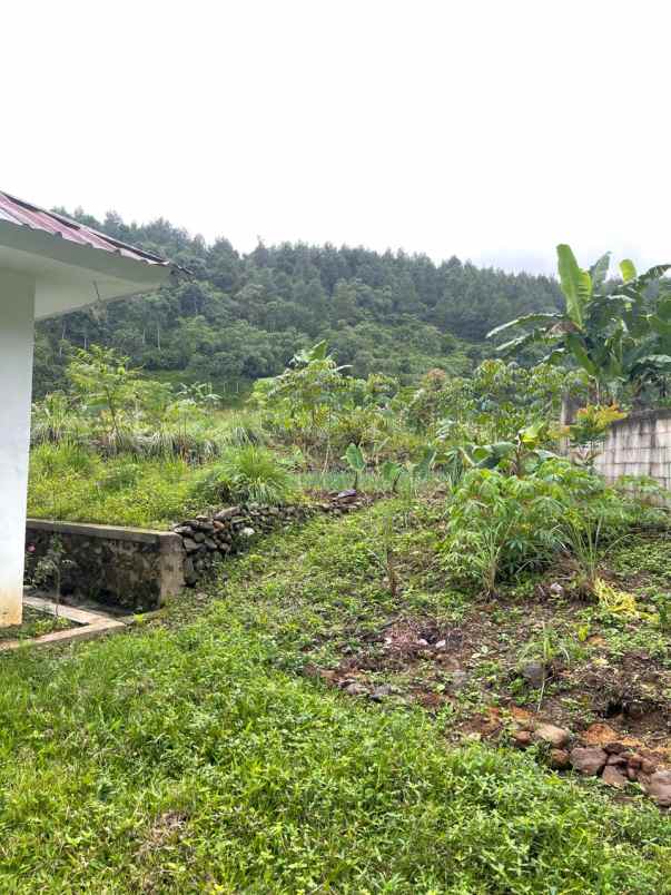 dijual tanah tenjolaya kab bogor