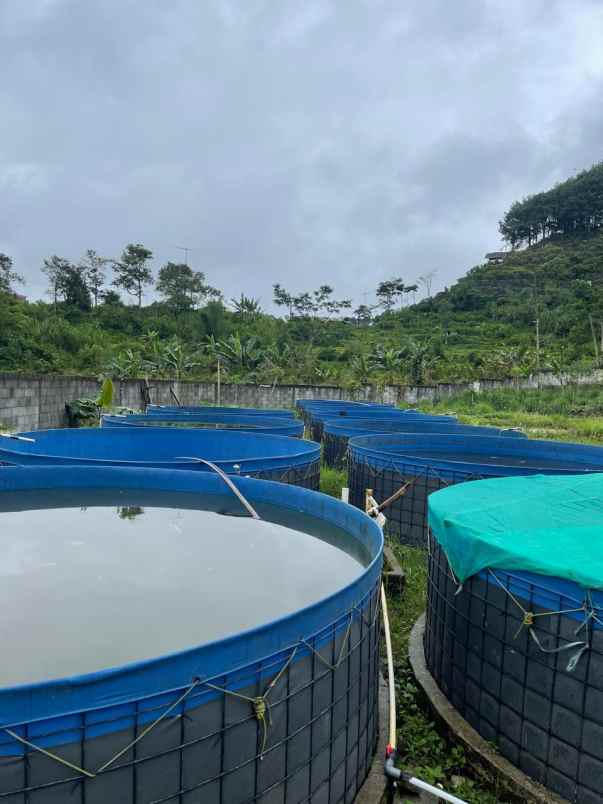 dijual tanah tenjolaya kab bogor