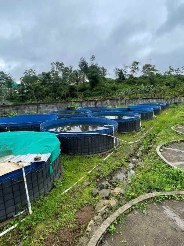 dijual tanah tenjolaya kab bogor