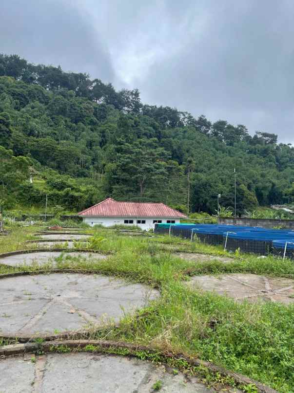 dijual tanah tenjolaya kab bogor