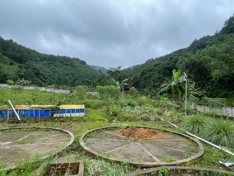 dijual tanah tenjolaya kab bogor