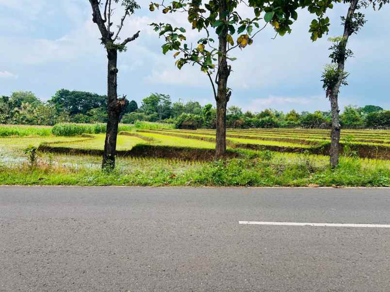 dijual tanah tepi jl raya kerjo