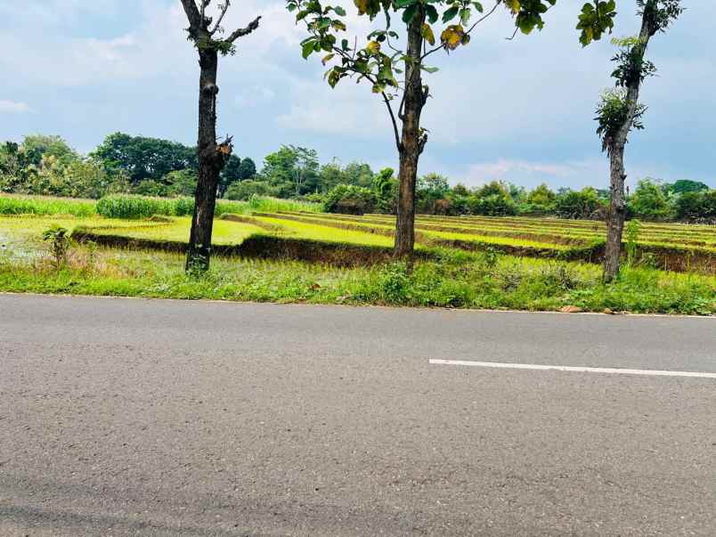 dijual tanah tepi jl raya kerjo