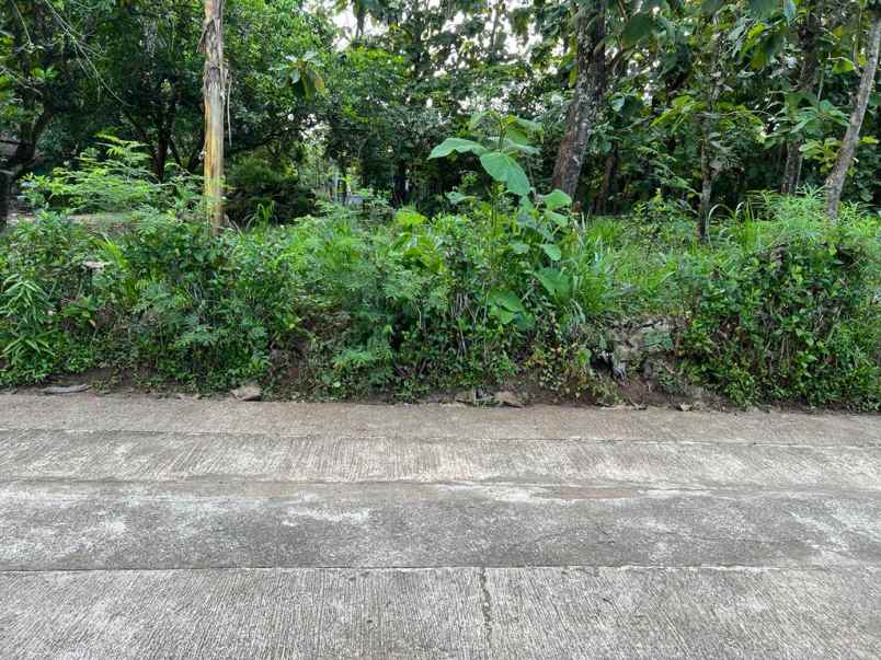 dijual tanah timur pasar kedawung sragen