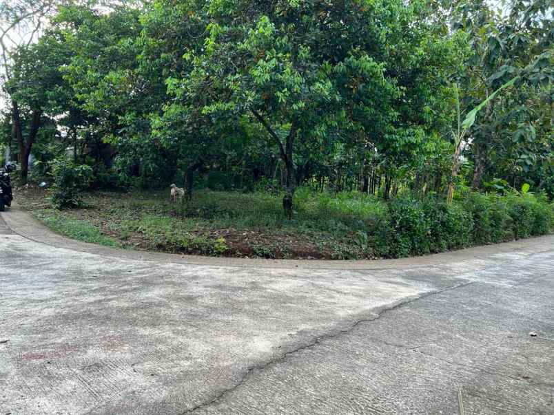 dijual tanah timur pasar kedawung sragen