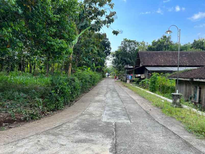 dijual tanah timur pasar kedawung sragen