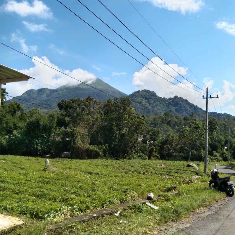 dijual tanah trawas duyung