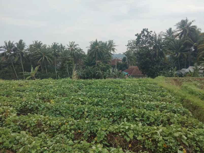 dijual tanah view gunung pinggir jalan desa
